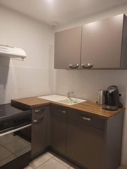 Appartement Sur La Place De Poncin Kültér fotó